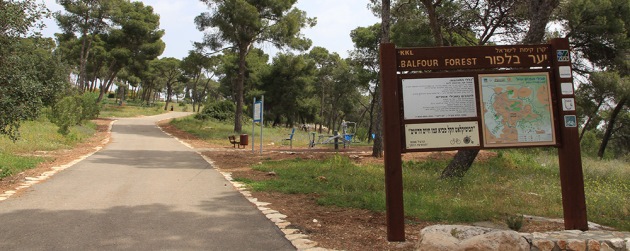 כניסה ליער בלפור – יער קהילתי במגדל העמק. צילום: יעקב שקולניק